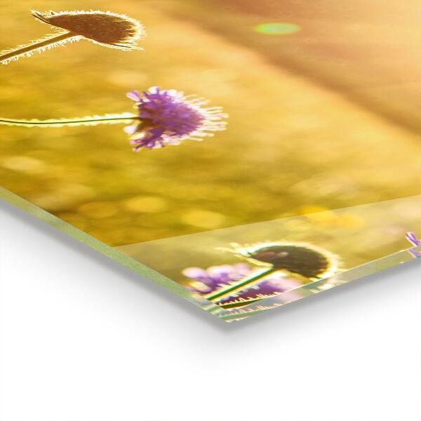 Nástenný panel  Letná kvitnúca lúka