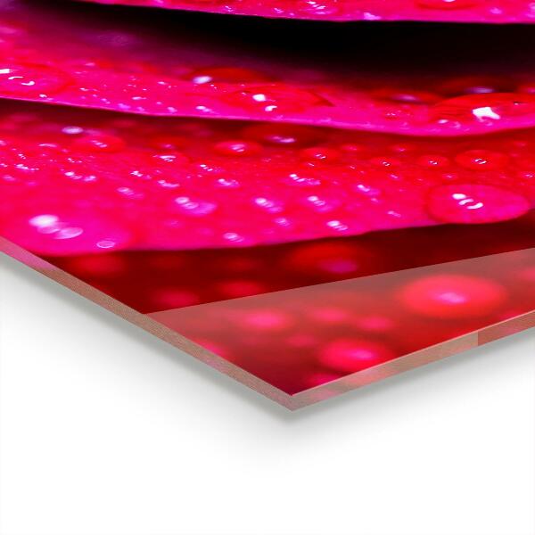 Nástenný panel  Ruža symbol lásky