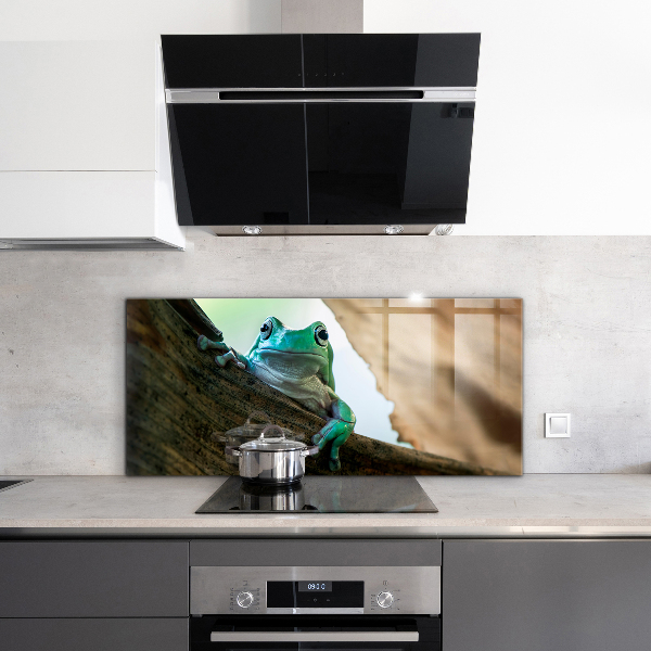 Sklenený obklad do kuchyne Zvedavá žaba na liste