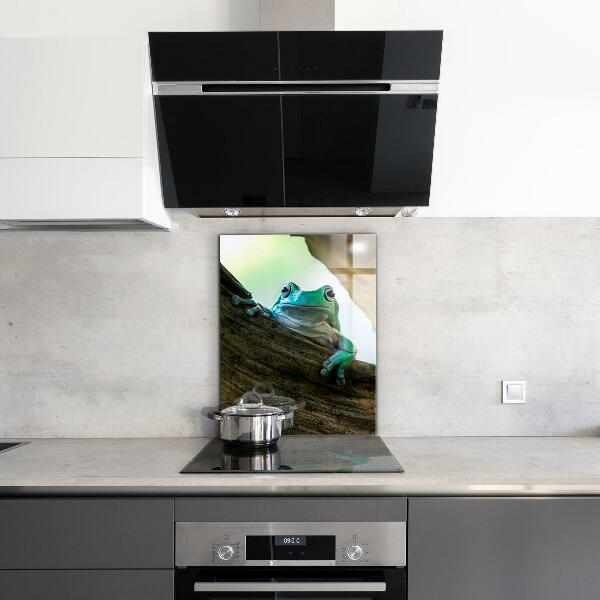 Sklenený obklad do kuchyne Zvedavá žaba na liste