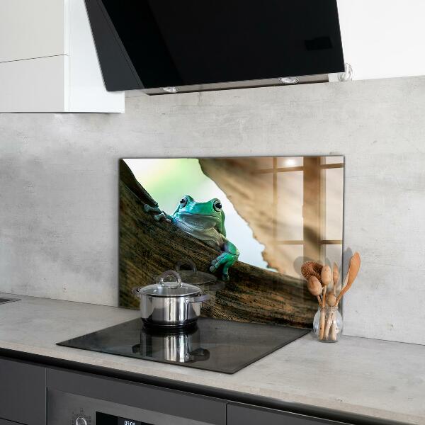 Sklenený obklad do kuchyne Zvedavá žaba na liste
