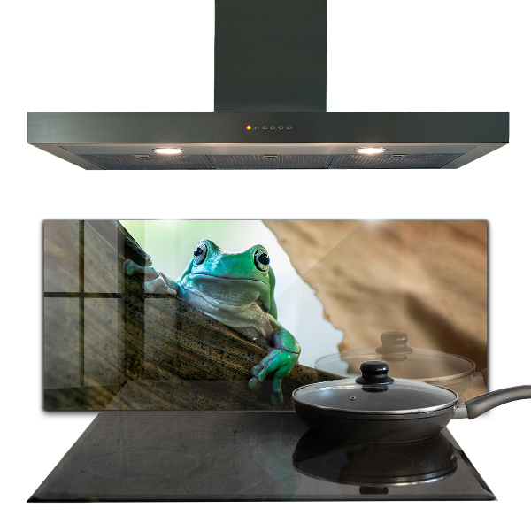 Sklenený obklad do kuchyne Zvedavá žaba na liste