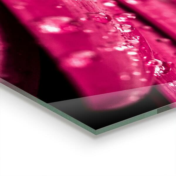 Nástenný panel  Ružový rastlinný kvet