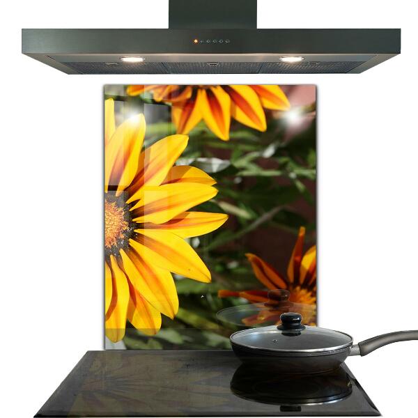 Nástenný panel  Žltý kvet na lúke