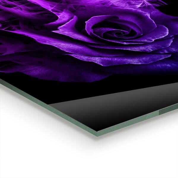 Nástenný panel  Purple rose abstract smoke