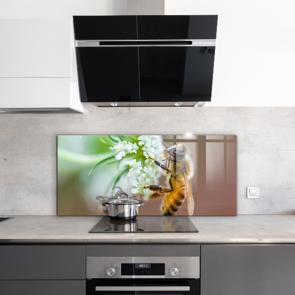 Sklenený obklad do kuchyne Včelí zber peľu