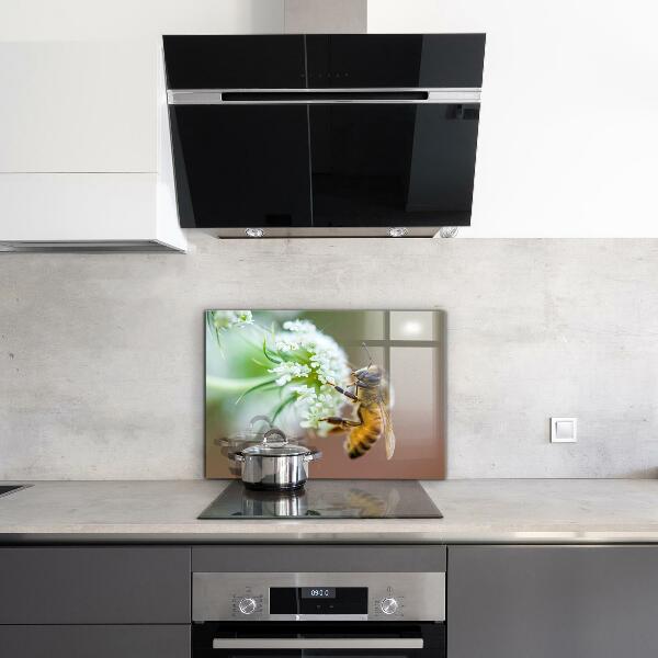 Sklenený obklad do kuchyne Včelí zber peľu