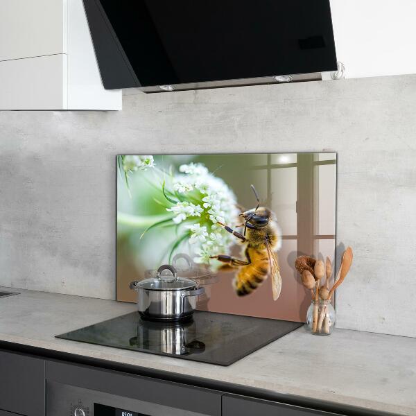 Sklenený obklad do kuchyne Včelí zber peľu