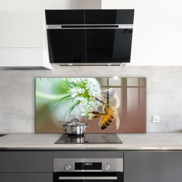 Sklenený obklad do kuchyne Včelí zber peľu