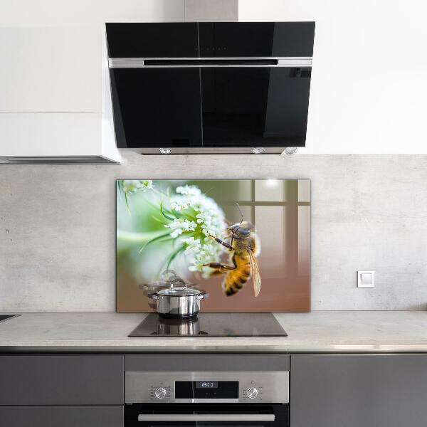 Sklenený obklad do kuchyne Včelí zber peľu