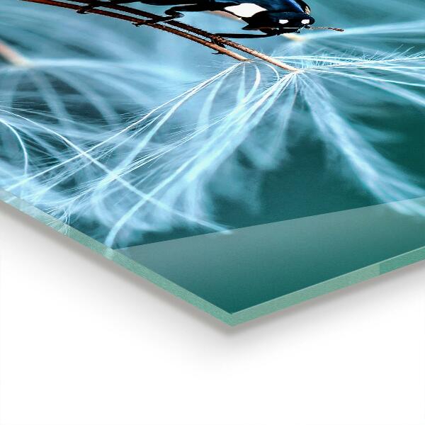 Sklenený obklad do kuchyne Lienka červený chrobák