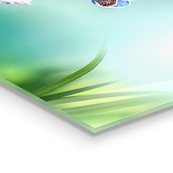 Nástenný panel  Letný kvet lúčneho motýľa