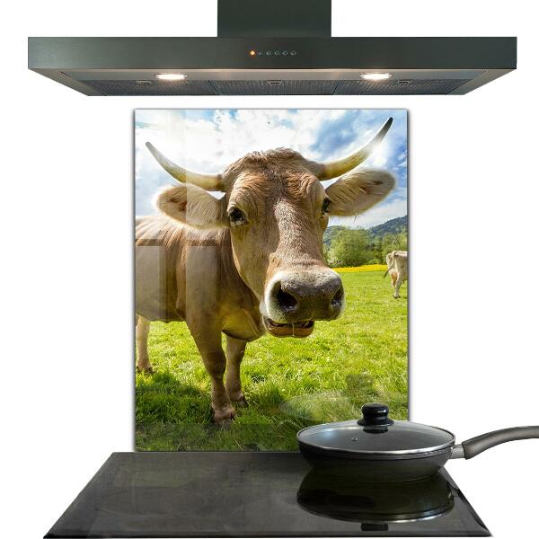 Sklenený obklad do kuchyne Vidiecke podnebie krowa pole