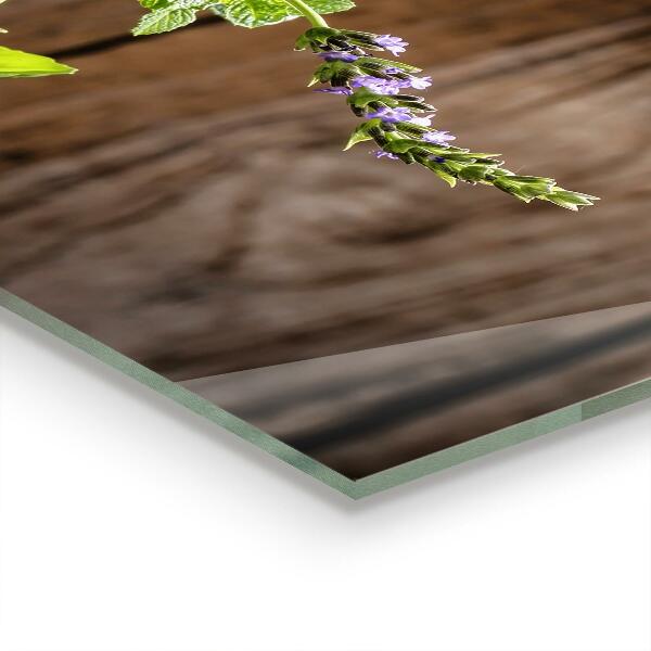 Sklenený obklad do kuchyne Korenie na kamennú maltu