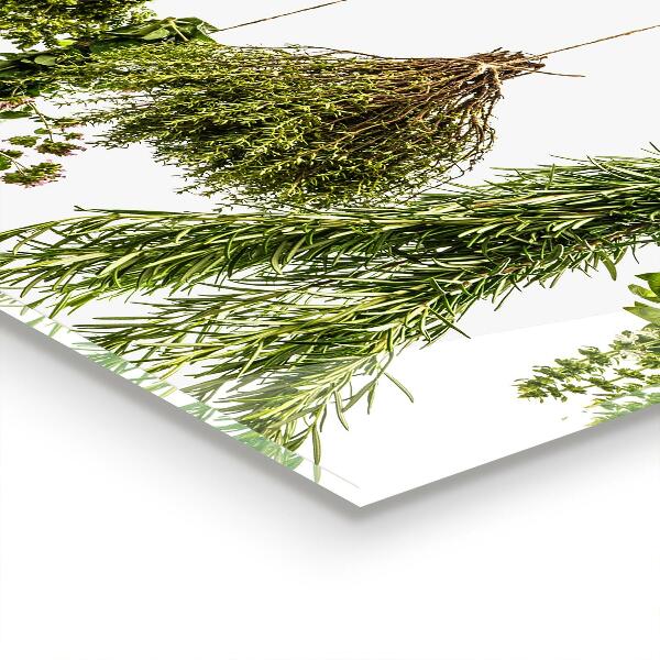 Sklenený obklad do kuchyne Sušené bylinky bylinný liek