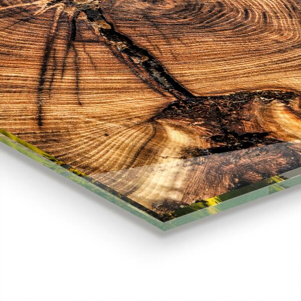 Nástenný panel  Textúra trupu