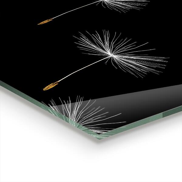 Nástenný panel  Púpavy vo vetre