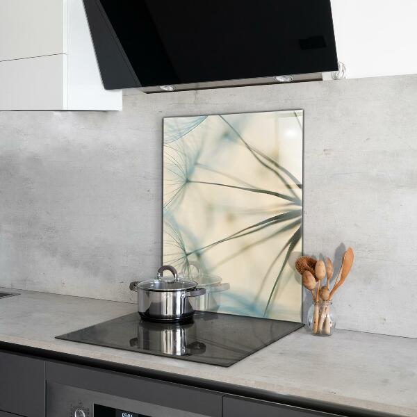 Nástenný panel  Krásna jemná púpava