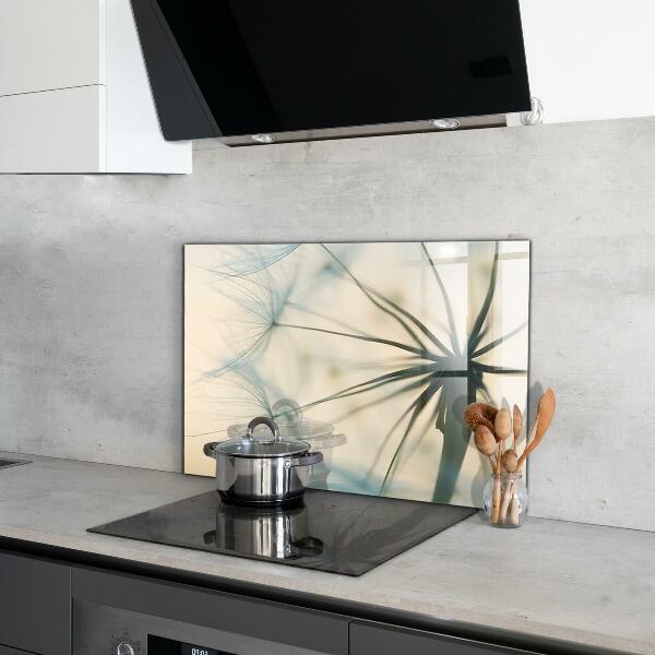 Nástenný panel  Krásna jemná púpava