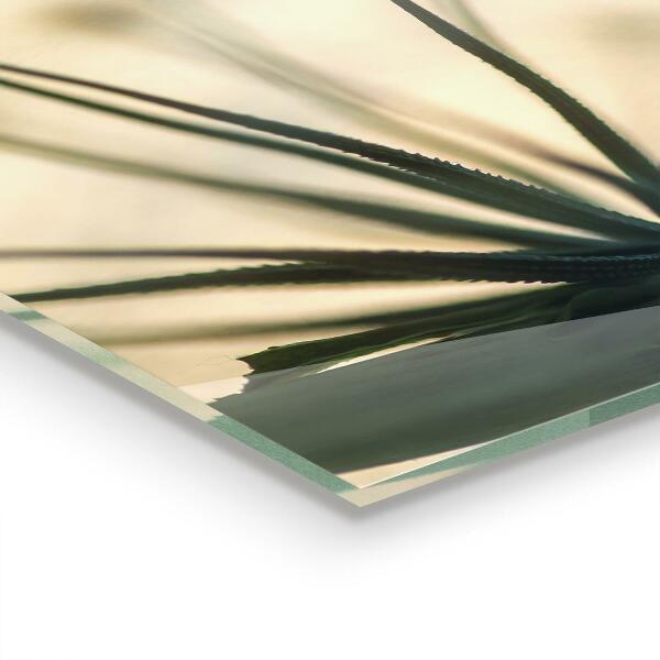 Nástenný panel  Krásna jemná púpava