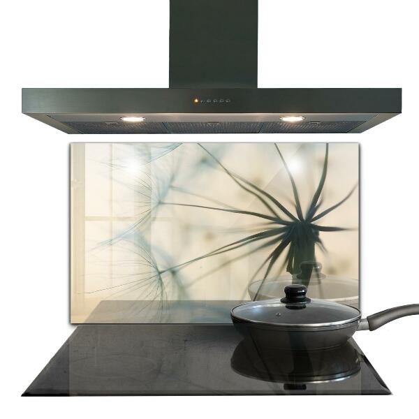 Nástenný panel  Krásna jemná púpava