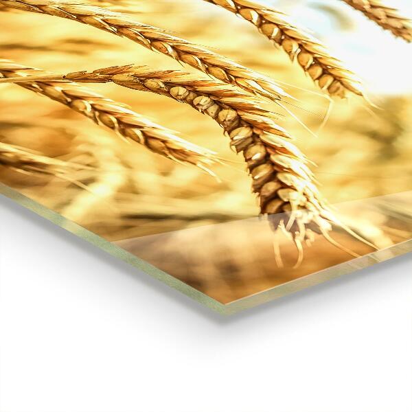 Nástenný panel  Obilné dary matky prírody