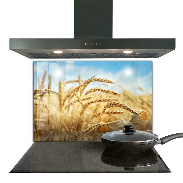 Nástenný panel  Obilné dary matky prírody