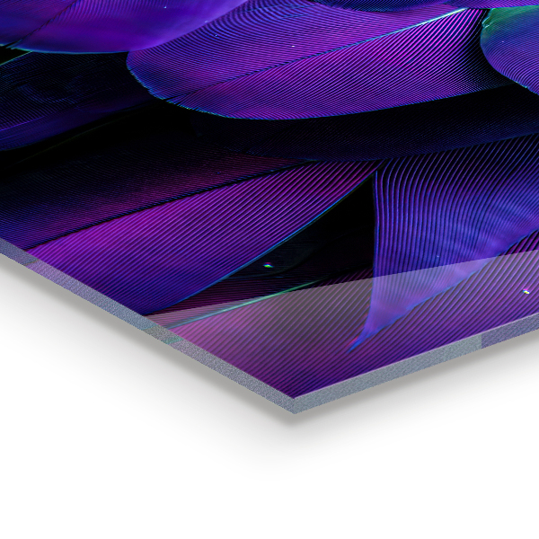 Nástenný panel  Perie exotických vtákov