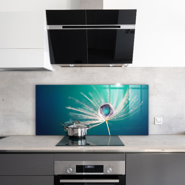 Nástenný panel  Púpava s kvapkou rosy