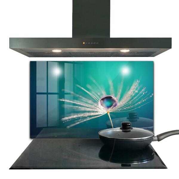 Nástenný panel  Púpava s kvapkou rosy