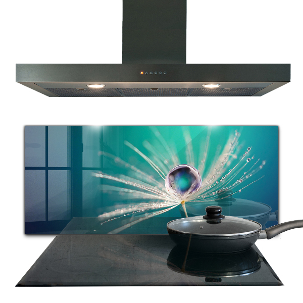 Nástenný panel  Púpava s kvapkou rosy