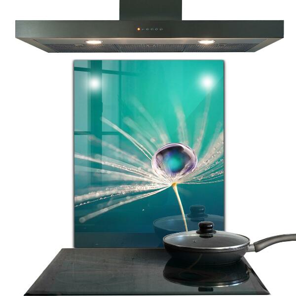 Nástenný panel  Púpava s kvapkou rosy