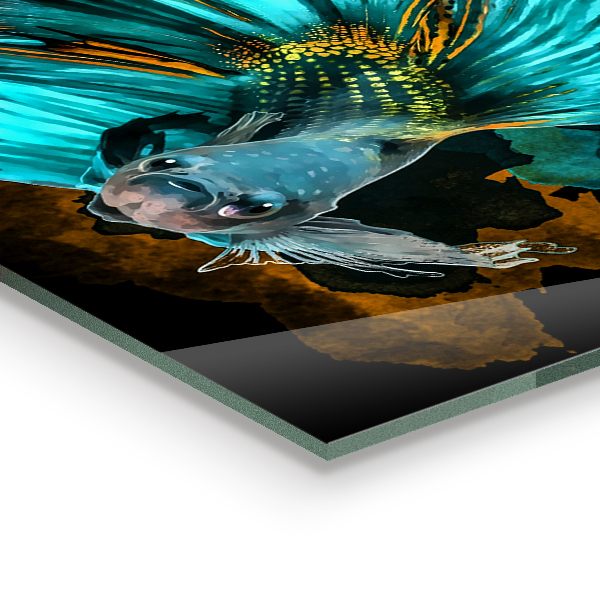 Sklenený obklad do kuchyne Tropické bojové ryby