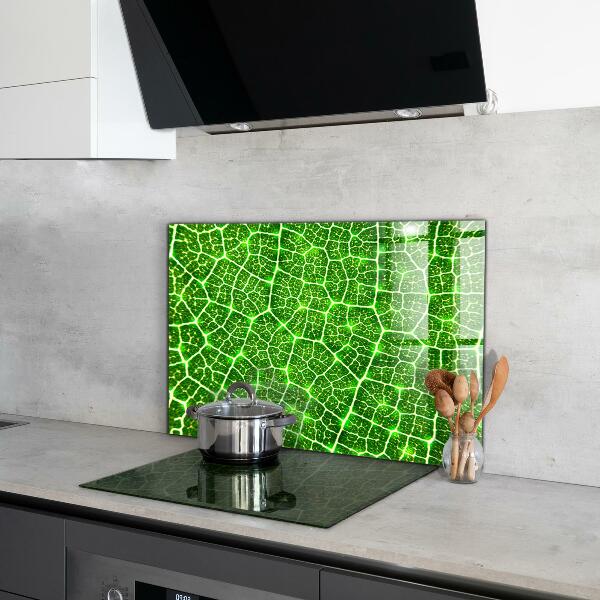 Nástenný panel  Sila zelenej botaniky