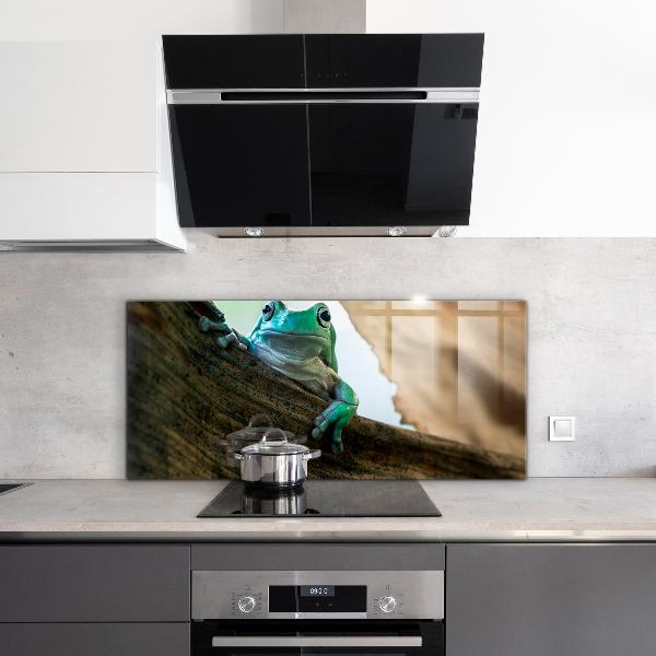 Sklenený obklad do kuchyne Portrét africkej žaby