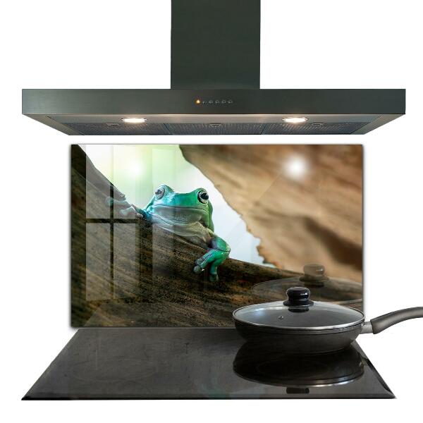 Sklenený obklad do kuchyne Portrét africkej žaby