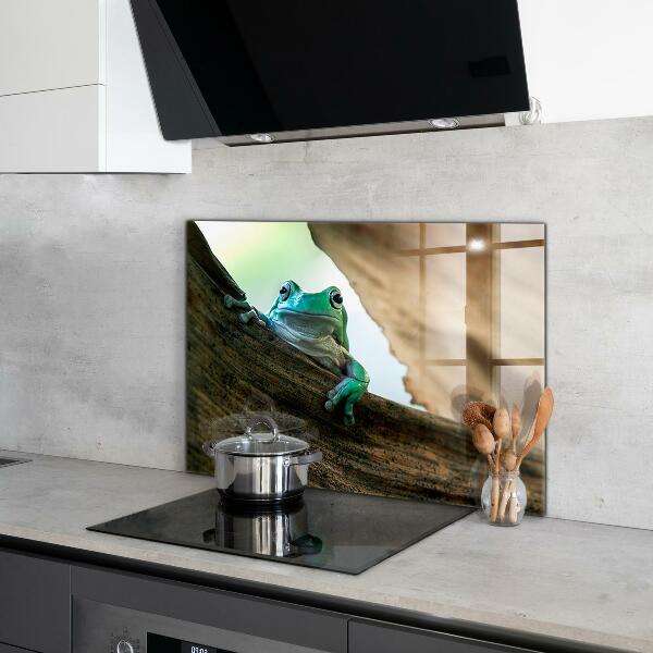 Sklenený obklad do kuchyne Portrét africkej žaby