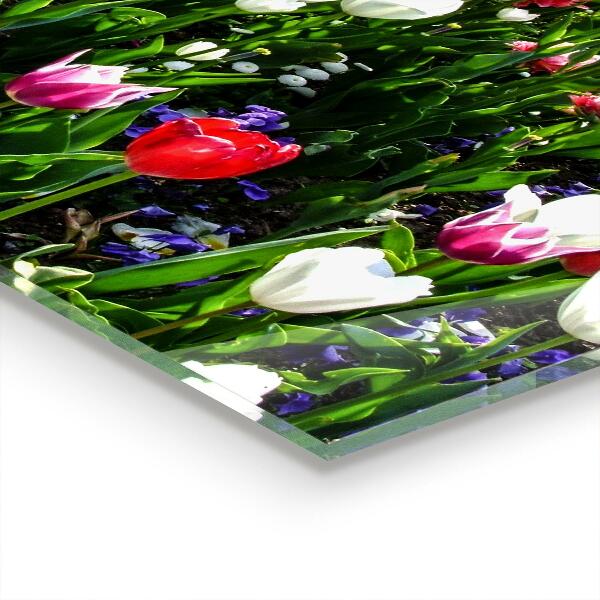 Nástenný panel  Lúčne letné kvety