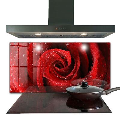 Sklenený obklad do kuchyne Kvapky rosy na červenej ruži