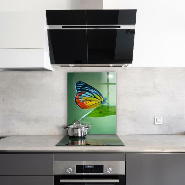 Sklenený obklad do kuchyne Motýľ spočíva na liste