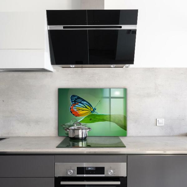 Sklenený obklad do kuchyne Motýľ spočíva na liste