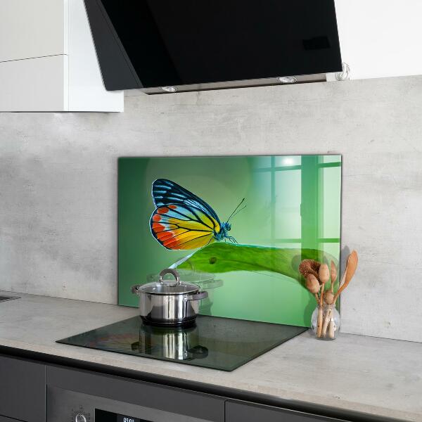Sklenený obklad do kuchyne Motýľ spočíva na liste