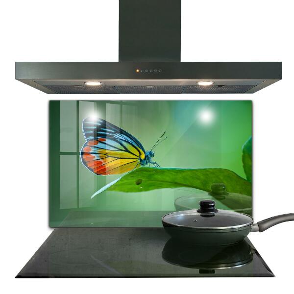 Sklenený obklad do kuchyne Motýľ spočíva na liste