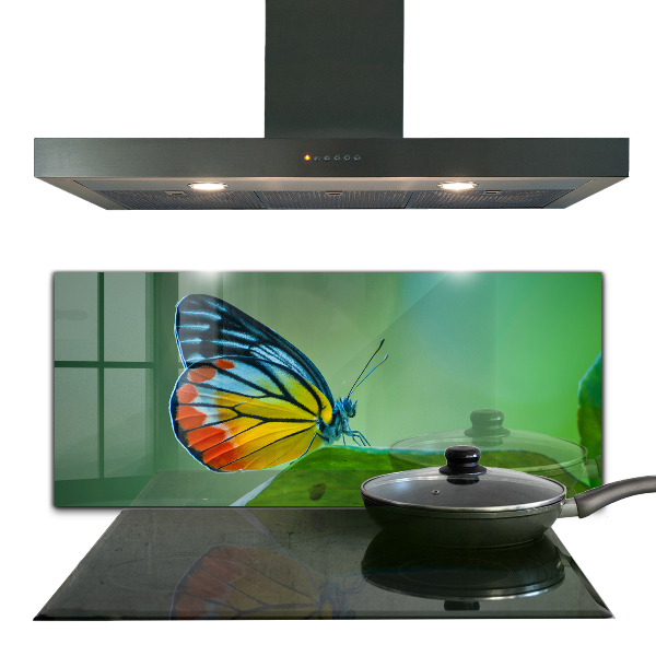 Sklenený obklad do kuchyne Motýľ spočíva na liste