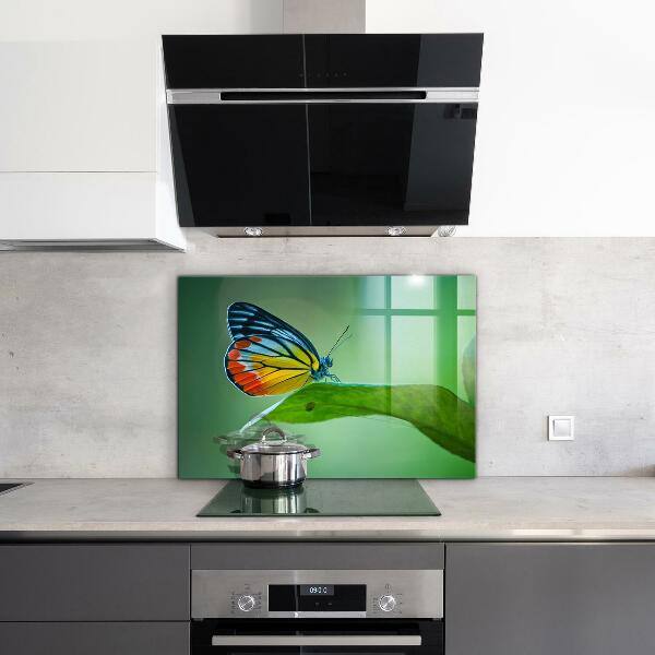 Sklenený obklad do kuchyne Motýľ spočíva na liste
