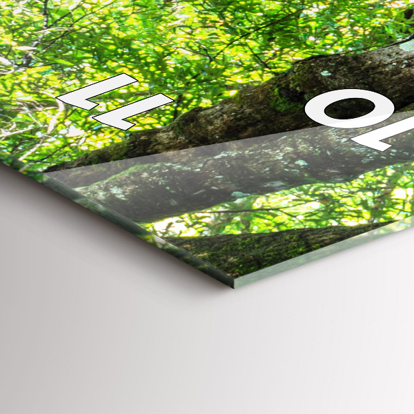 Vertikálne hodiny Vodopád v lese