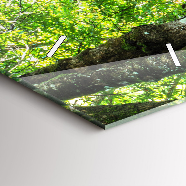 Vertikálne hodiny Vodopád v lese