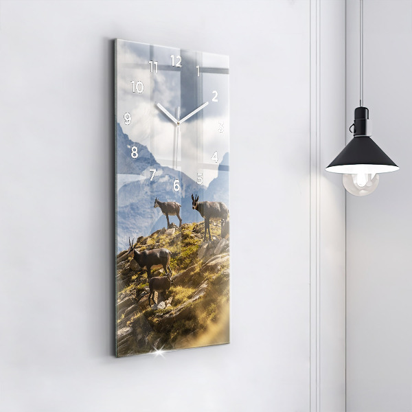 Vertikálne hodiny Koza v údolí Aosta