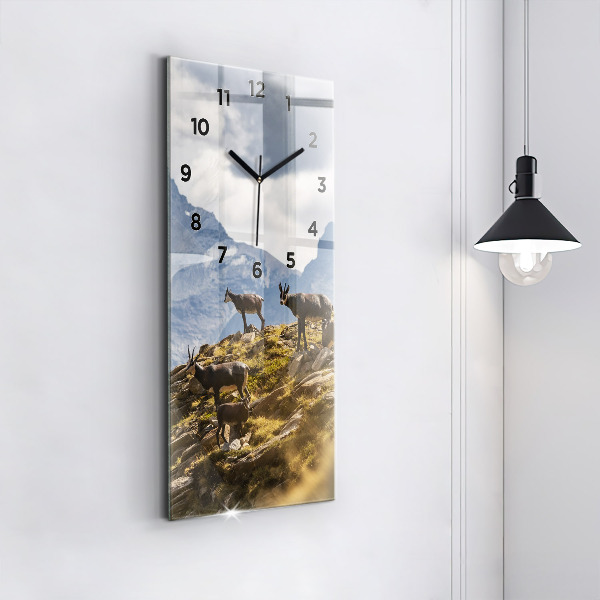 Vertikálne hodiny Koza v údolí Aosta