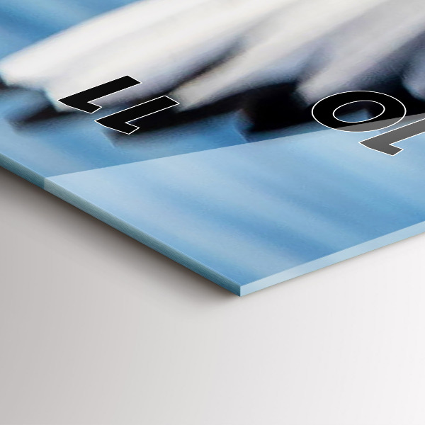 Vertikálne hodiny Čajky v Gdyni